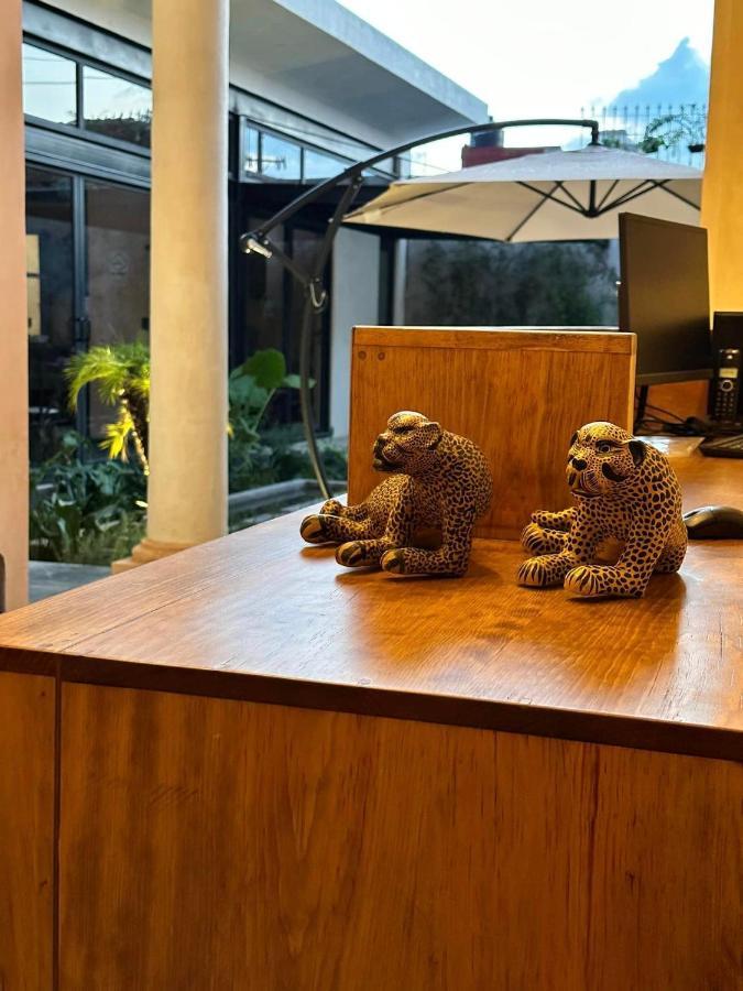 Hotel Boutique Casa San Cristobal San Cristóbal de Las Casas エクステリア 写真